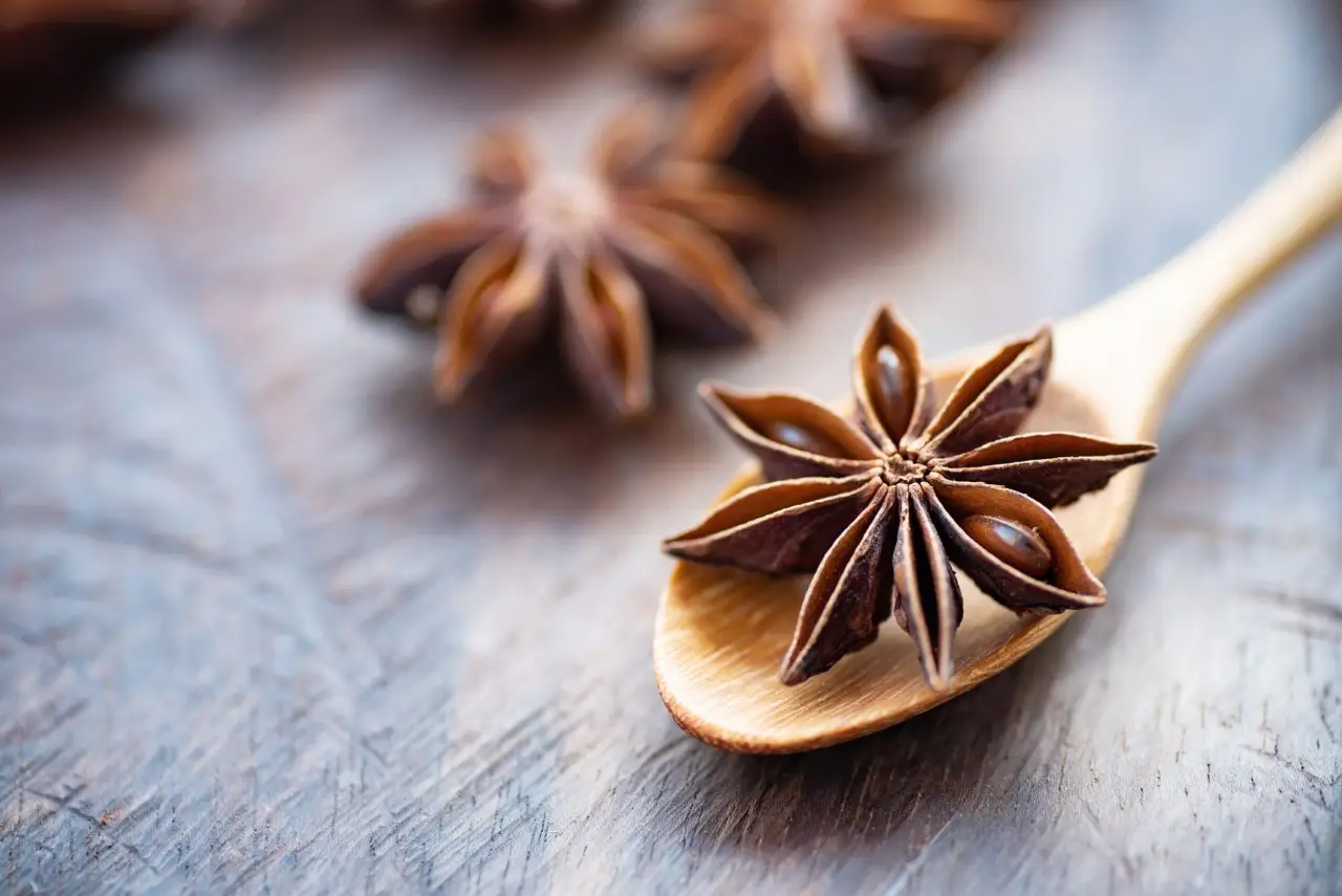 Usi nascosti dell’anice stellato in cucina e i suoi effetti sulla digestione