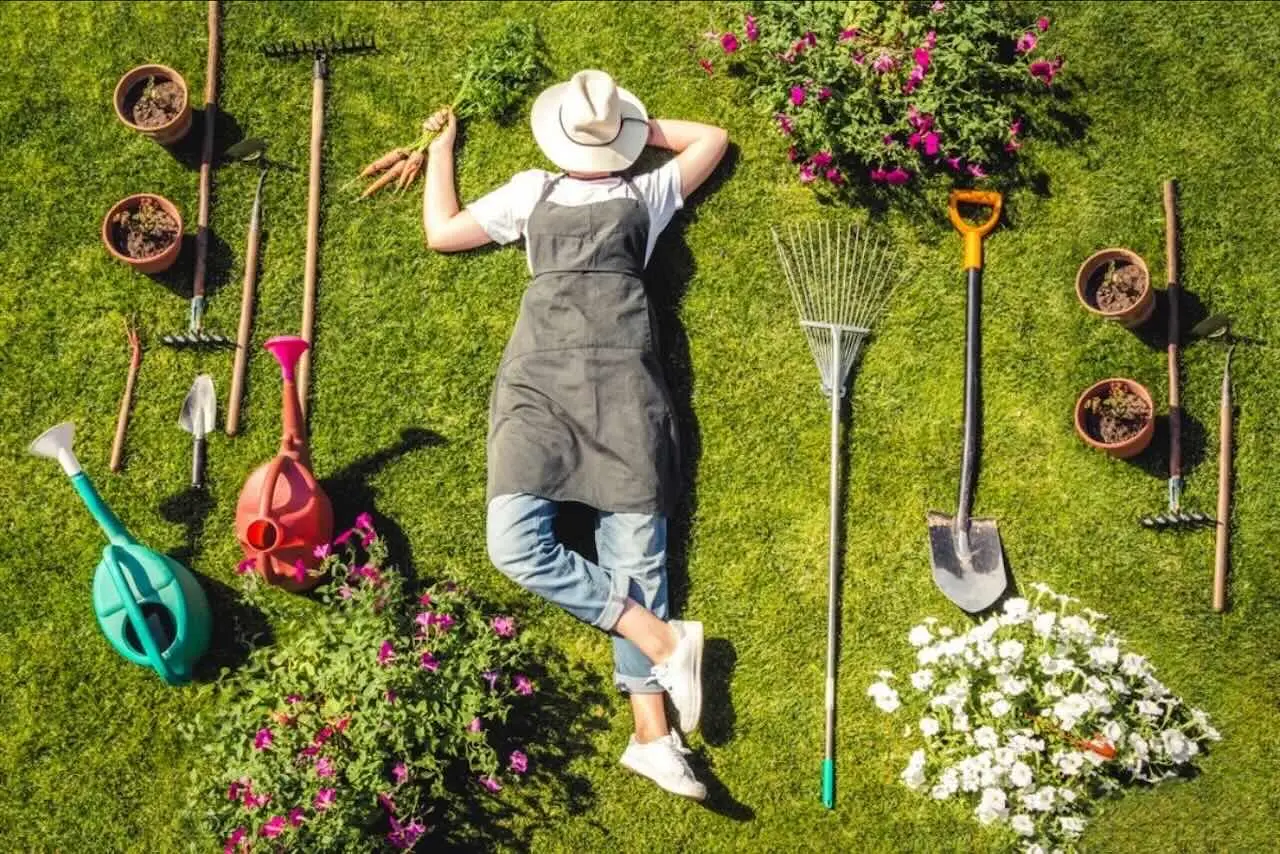 Corsi ufficiali e requisiti aggiornati per il patentino da giardiniere: cosa sapere nel 2025