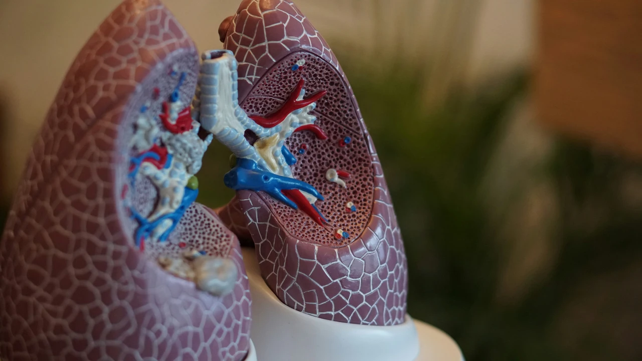 Bronchite: il metodo più efficace per ridare respiro ai tuoi polmoni