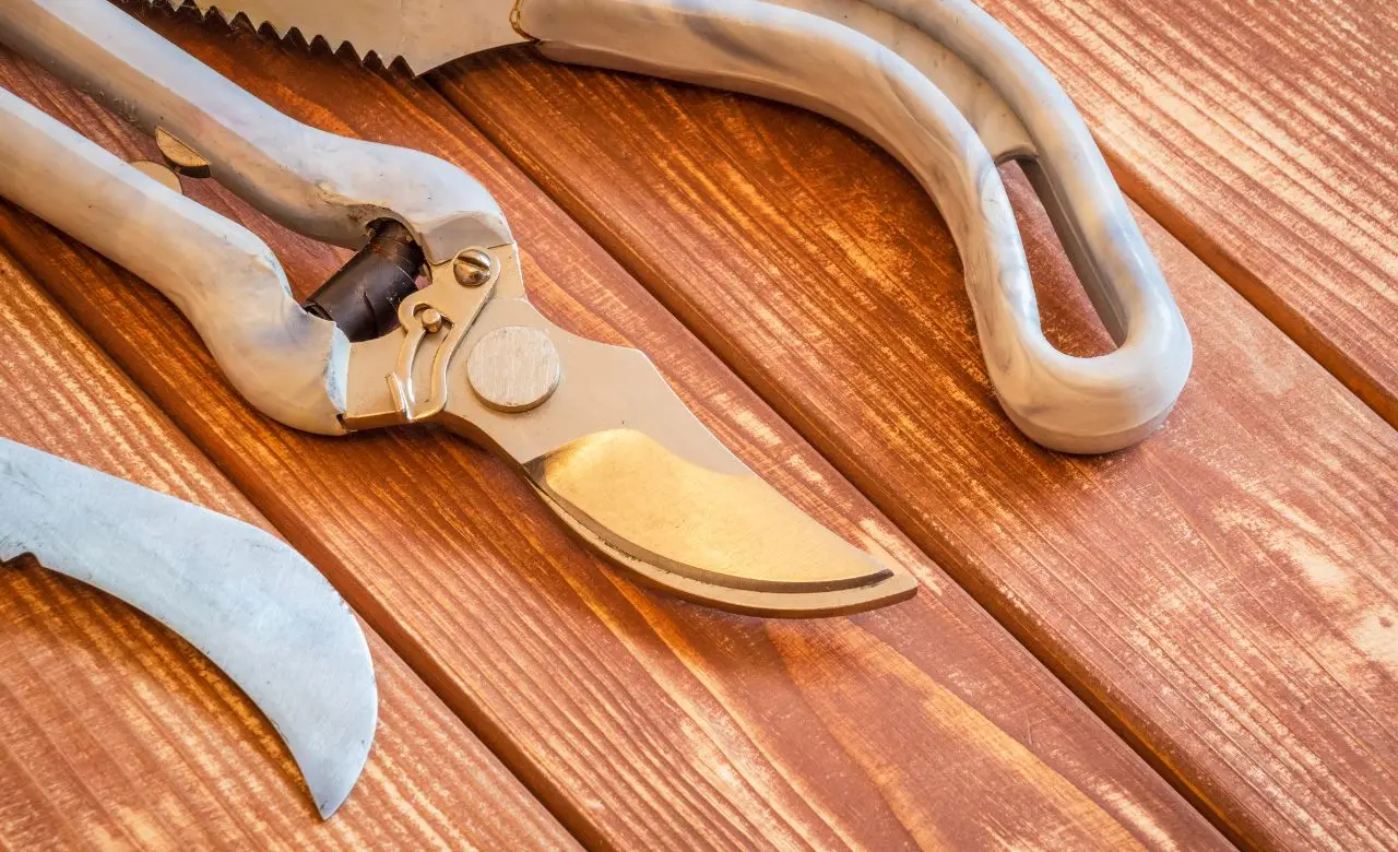 Scopri quali attrezzi usare per lavorare il legno e i trucchi per risultati migliori