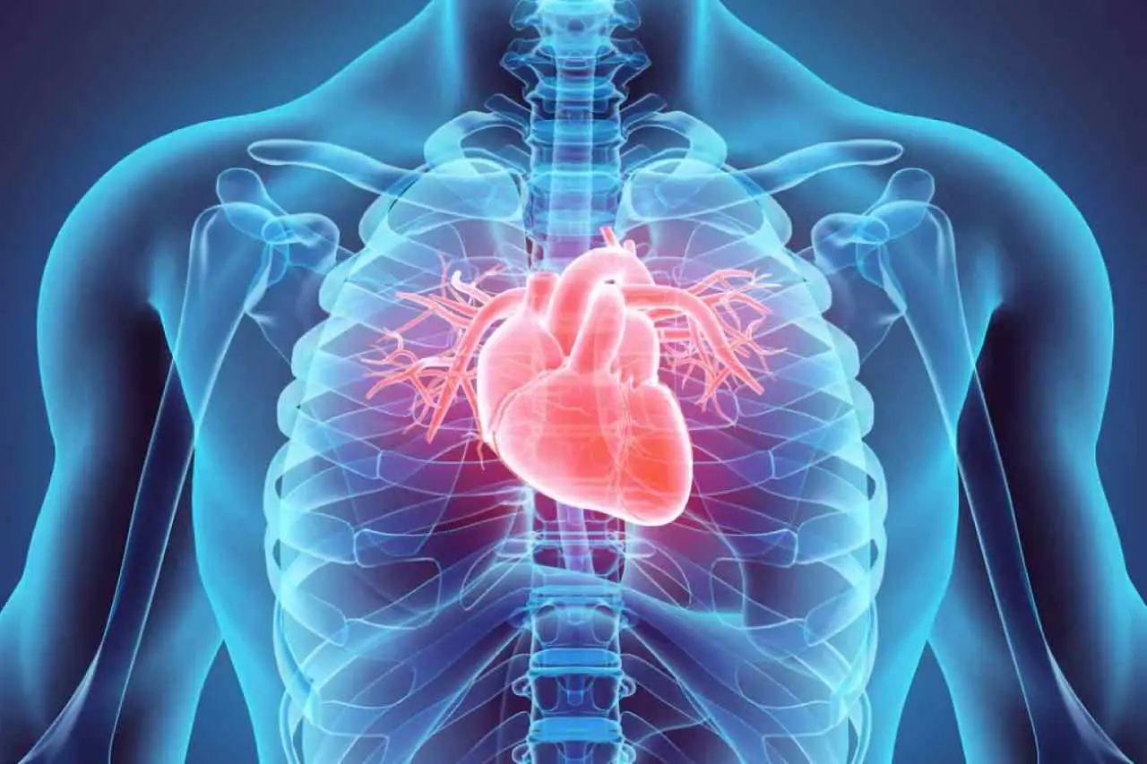 Allarme salute: ecco qual è la malattia al cuore più pericolosa secondo i cardiologi