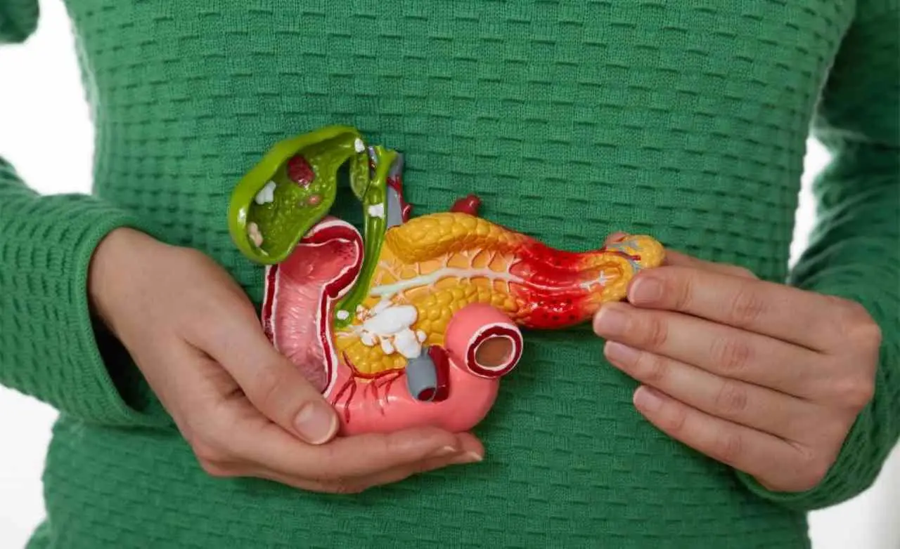 Stanchezza cronica e milza ingrossata? Attenzione a questa malattia rara e silenziosa