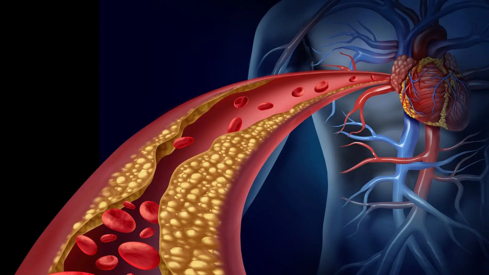 Non solo colesterolo: ecco le malattie gravi che si possono scoprire subito dalle analisi del sangue