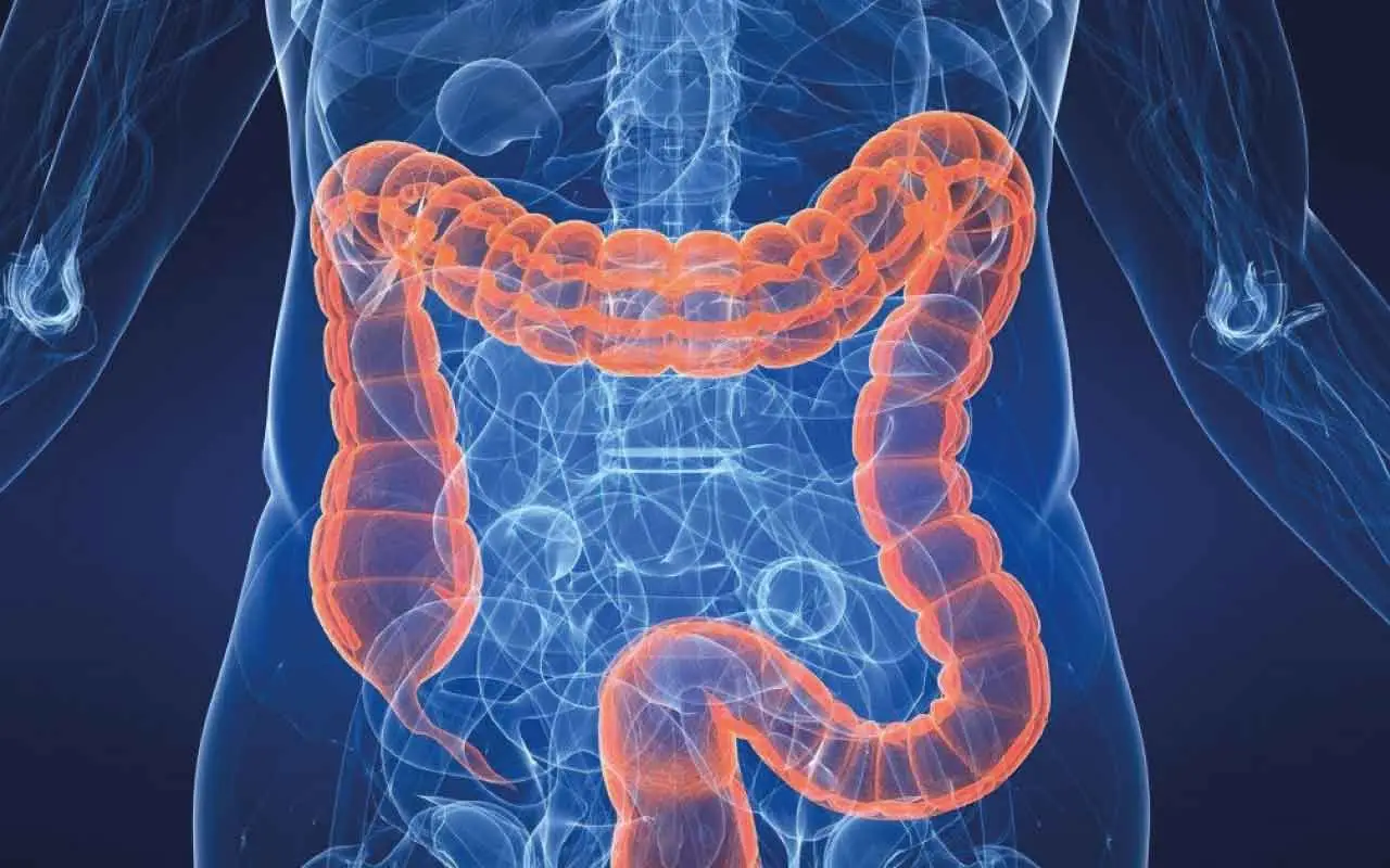 Colon irritabile? Ecco l’errore comune che fai ogni giorno e che scatena il dolore