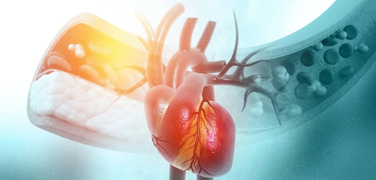 Non esiste un solo tipo di scompenso cardiaco: ecco le differenze che devi conoscere subito