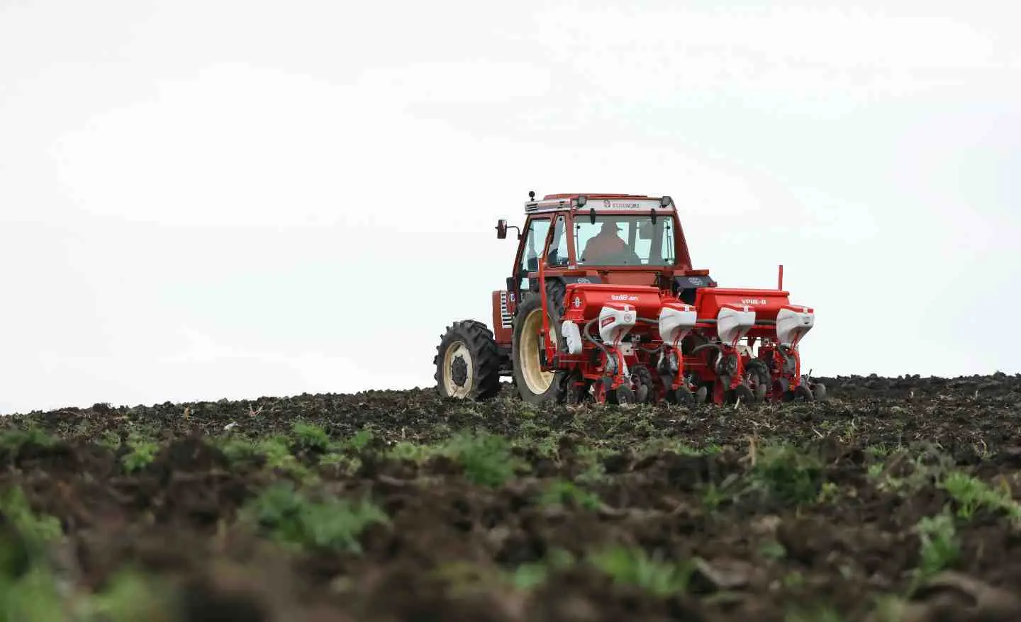 Sei una donna e vuoi lavorare in agricoltura? Ecco tutti i nuovi incentivi 2025 che puoi richiedere