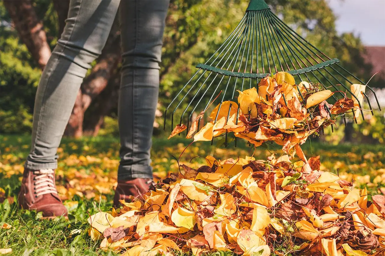 Quali sono i lavori da fare in giardino a settembre? La lista per prepararlo all’autunno